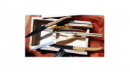 Coffret 6 couteaux de table laguiole G. David