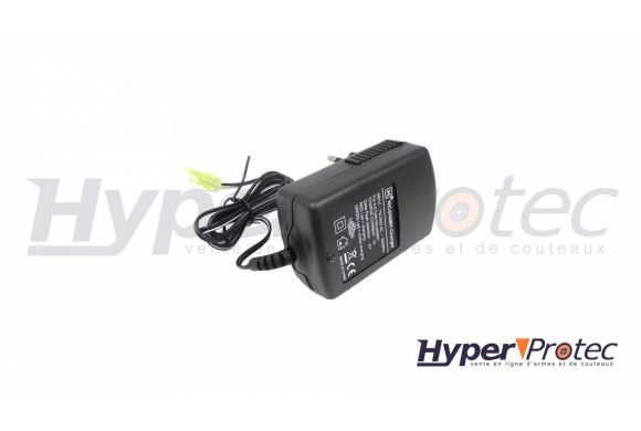 Chargeur De Batterie Intelligent NiCd/NiMH Auto-Stop ASG