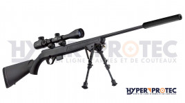 Pack Carabine 17 HMR Mossberg Plinkster 817