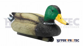 Appelant de chasse canard Colvert Mâle