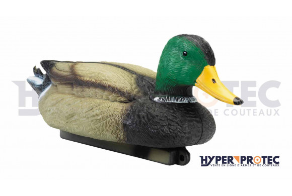 Appelant de chasse canard Colvert Mâle