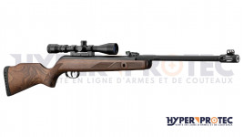 Carabine à plomb Gamo Hunter 440 AS