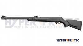 Gamo Big Cat CF-S - Carabine à Plomb