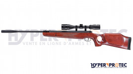 Carabine Ruger Air Hawk Elite