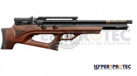 Aselkon RX10 - Carabine PCP