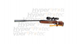 Ruger Air Hawk Elite - Carabine à Plomb