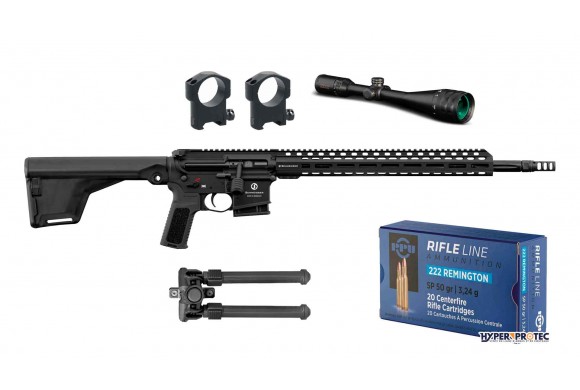 Fusil d'assaut catégorie C Schmeisser SP15 - Carabine 222