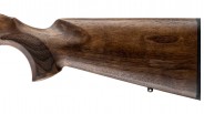 Carabine Mauser 25 Pure