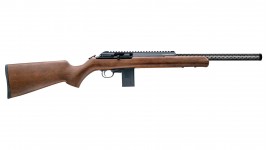 Carabine 22LR Bushranger Adamantium