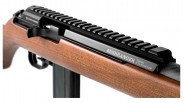 Carabine 22LR Bushranger Adamantium