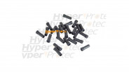 25 cartouches chevrotines pour Gamo Viper Express 5.5 mm