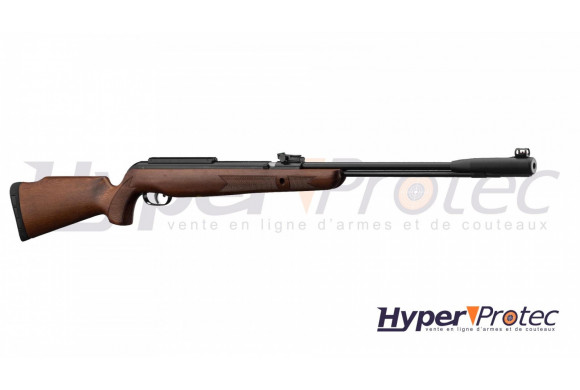 Gamo CFX Royal - Carabine à plomb