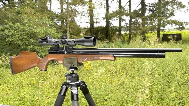 Carabine à Plomb Puissante : Notre Top 5 (Classement 2021)