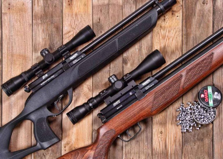 Carabine à Plomb Puissante Notre Top 5