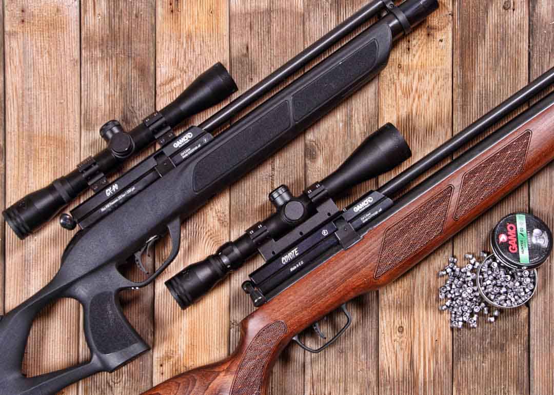 Carabine à Plomb Puissante Notre Top 5 (Classement 2021) Carabine à Plomb Puissante Notre Top 5 (Classement 2021)