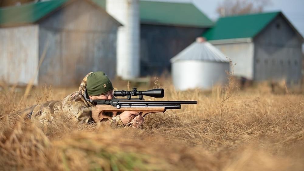 Comment viser avec précision avec sa carabine a plomb - JPF