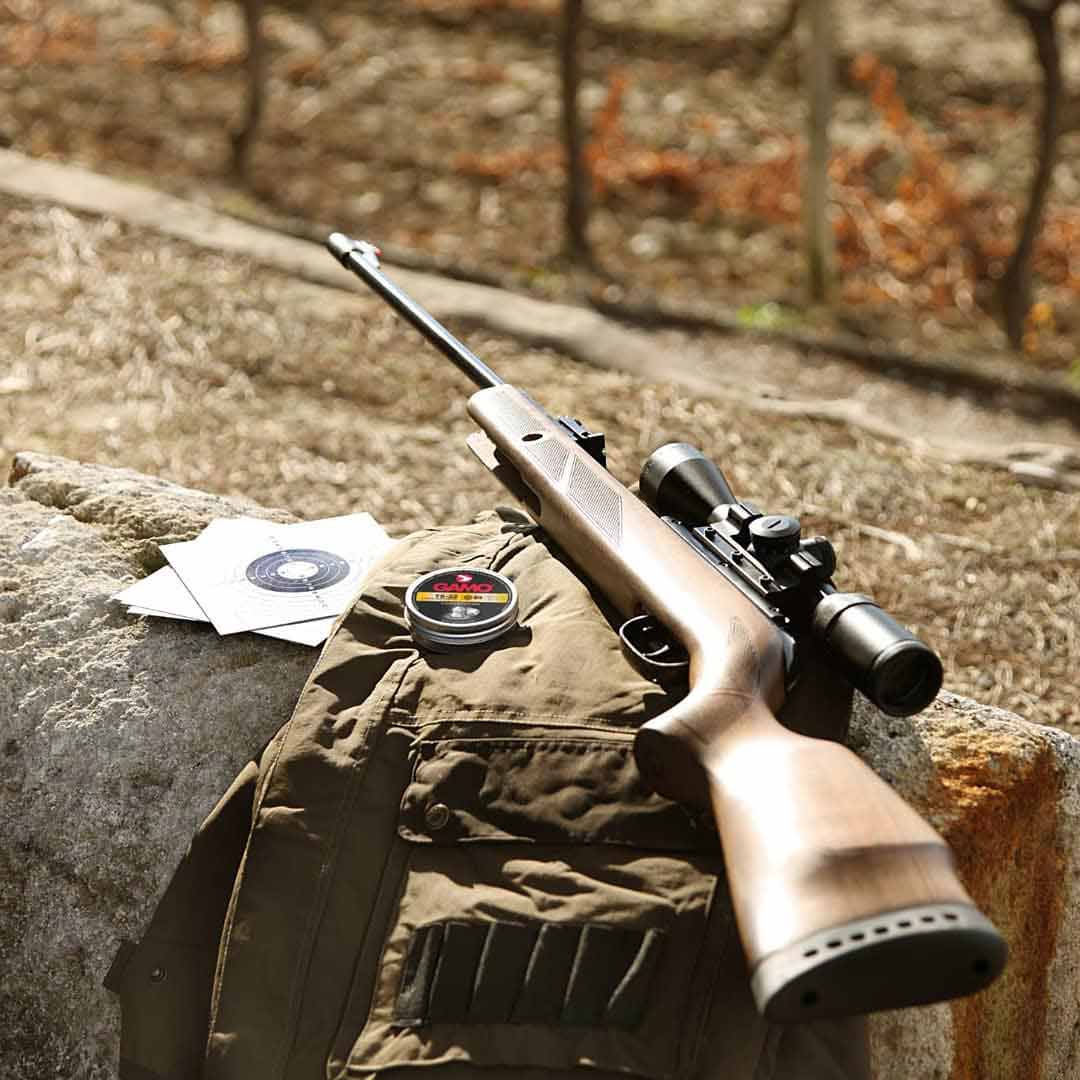 Quelle carabine à plomb pour la régulation de pigeon