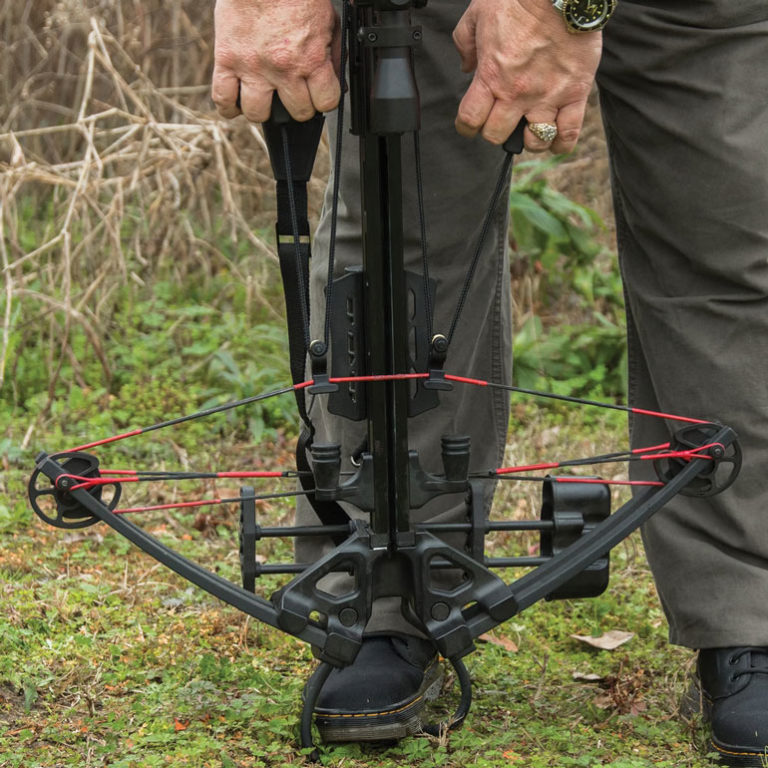 Arbalète de chasse la plus puissante notre top 5