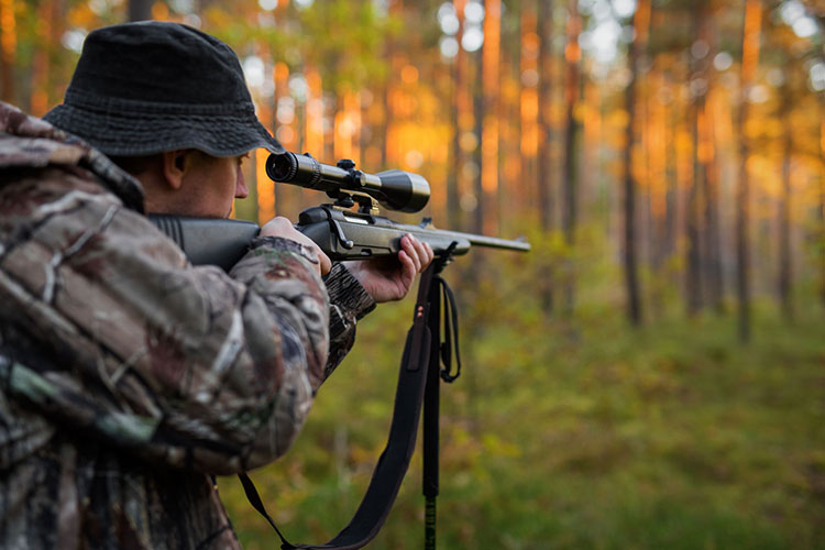 Il faut un permis de chasse pour utiliser une arme de chasse