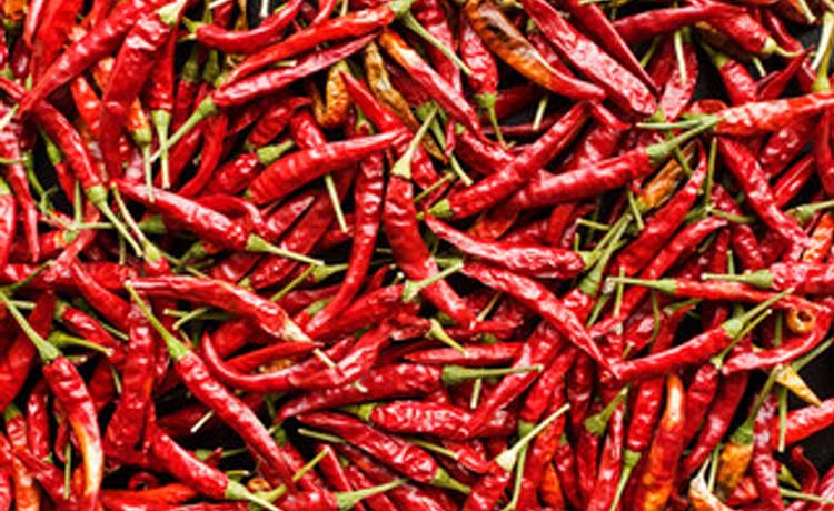 Piments rouges.
