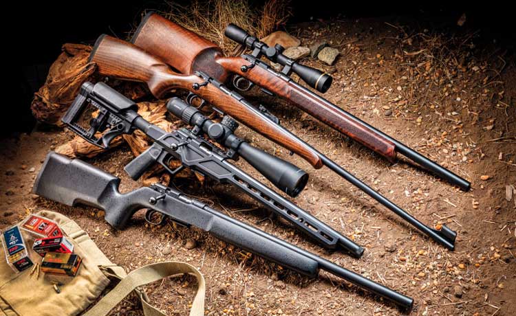 Différents modèles de carabine .22 LR