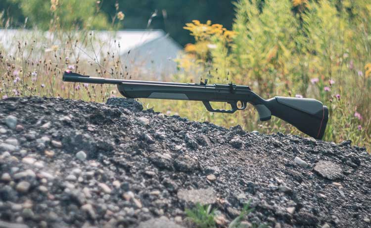 Une carabine à plomb peut être en bois ou synthétique.